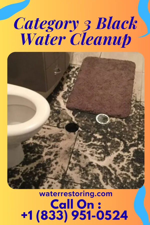 Category 3 Black Water Cleanup in Greenfield, TN