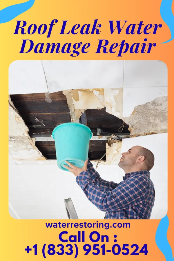 Roof Leak Water Damage Repair in Greenfield, TN